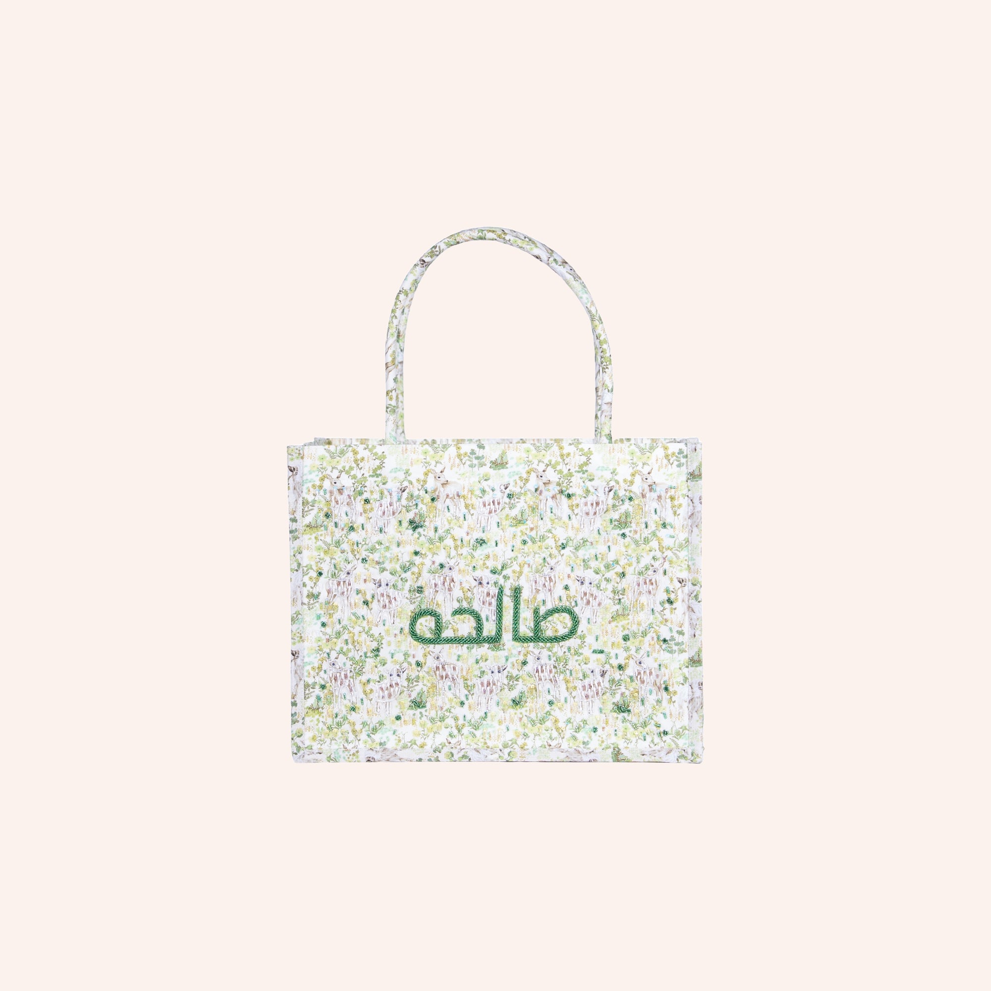 صالحة